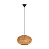 Eglo verlichting SHELDON Hanglamp Zwart, 1-licht