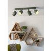 Eglo verlichting TILSTON Plafondlamp, Plafondspot Groen, 4-lichts