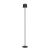 Eglo verlichting MANNERA-L Staande lamp LED Zwart, 1-licht, Afstandsbediening, Kleurwisselaar