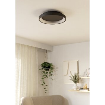 Eglo verlichting LORETELLO Plafondlamp, Wand- en plafondlamp LED Zwart, Afstandsbediening