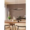 Eglo verlichting SERPINS Hanglamp LED Zwart