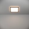Eglo verlichting ROVITO Plafondlamp LED Zwart, Kleurwisselaar