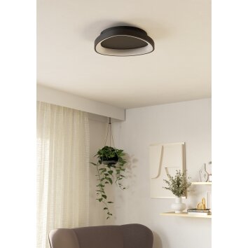 Eglo verlichting LORETELLO Plafondlamp, Wand- en plafondlamp LED Zwart, Afstandsbediening