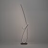 Eglo verlichting CARDONCITO Staande lamp LED Zwart, Kleurwisselaar