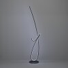 Eglo verlichting CARDONCITO Staande lamp LED Zwart, Kleurwisselaar