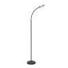 Eglo verlichting LAURO Staande lamp LED Zwart