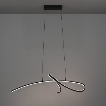 Eglo verlichting CARDONCITO Hanglamp LED Zwart, Kleurwisselaar