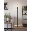Eglo verlichting CASTELPOTO Staande lamp LED Messing, Zwart