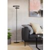 Eglo verlichting EGLO Staande lamp LED Zwart