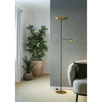 Eglo verlichting CONIVARINO Staande lamp LED Messing, Zwart