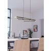 Eglo verlichting BOYAL Hanglamp LED Bruin, Zwart