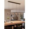 Eglo verlichting HORTUNAS Hanglamp LED Zwart