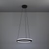 Eglo verlichting MEZZOMONTE Hanglamp LED Zwart, Afstandsbediening