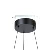 Eglo verlichting MEZZOMONTE Hanglamp LED Zwart, Afstandsbediening