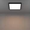 Eglo verlichting 6-Z Plafondlamp LED Zwart, Kleurwisselaar