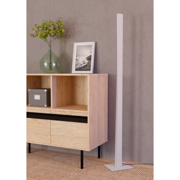 Eglo verlichting BOLOGNANO-Z Staande lamp LED Grijs, Kleurwisselaar