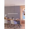 Eglo verlichting BOLOGNANO-Z Hanglamp LED Grijs, Kleurwisselaar
