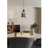 Eglo verlichting MOLOCHIO-Z Hanglamp LED Zwart, Kleurwisselaar