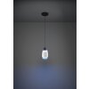 Eglo verlichting MOLOCHIO-Z Hanglamp LED Zwart, Kleurwisselaar
