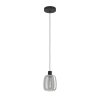 Eglo verlichting MOLOCHIO-Z Hanglamp LED Zwart, Kleurwisselaar