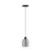 Eglo verlichting MOLOCHIO-Z Hanglamp LED Zwart, Kleurwisselaar