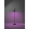 Eglo verlichting ALFERO-Z Staande lamp LED Zwart, Kleurwisselaar