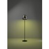 Eglo verlichting ALFERO-Z Staande lamp LED Zwart, Kleurwisselaar