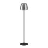Eglo verlichting ALFERO-Z Staande lamp LED Zwart, Kleurwisselaar