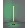Eglo verlichting ANCHORENA-Z Staande lamp LED Bruin, Zwart, Kleurwisselaar