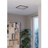 Eglo verlichting MORADILLO-Z Plafondlamp LED Zwart, Kleurwisselaar