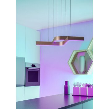 Eglo verlichting FOLCINO-Z Hanglamp LED Brons, Zwart, Kleurwisselaar Eglo verlichting FOLCINO-Z Hanglamp LED Brons, Zwart, Kleurwisselaar