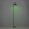 Eglo verlichting CONOMAVILLA-Z Staande lamp LED Zwart, Kleurwisselaar