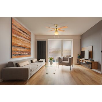 Eglo verlichting & Plafondventilator met verlichting Gebrandschilderd