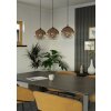 Eglo verlichting EGLO Hanglamp Zwart