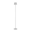 Eglo verlichting MANNERA-L Staande lamp LED Grijs, Afstandsbediening, Kleurwisselaar