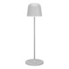 Eglo verlichting MANNERA-L Staande lamp LED Grijs, Afstandsbediening, Kleurwisselaar