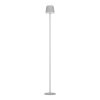 Eglo verlichting MANNERA-L Staande lamp LED Grijs, Afstandsbediening, Kleurwisselaar