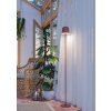 Eglo verlichting MANNERA-L Staande lamp LED Roest, Afstandsbediening, Kleurwisselaar