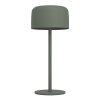 Eglo verlichting ROCCANOVA Tafellamp LED Groen