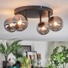 Chehalis Plafondlamp, Kogellampje Rookkleurig, 4-lichts