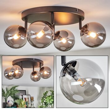 Chehalis Plafondlamp, Kogellampje Rookkleurig, 4-lichts