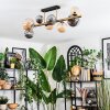 Chehalis Plafondlamp, Kogellampje Goud, Zwart, 8-lichts
