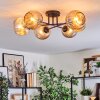 Ripoll Plafondlamp, Kogellampje Amber, 6-lichts