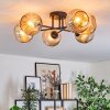 Ripoll Plafondlamp, Kogellampje Amber, 6-lichts