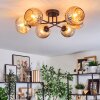 Ripoll Plafondlamp, Kogellampje Amber, 6-lichts