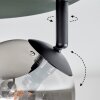 Chehalis Plafondlamp, Kogellampje Rookkleurig, 4-lichts