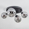 Chehalis Plafondlamp, Kogellampje Rookkleurig, 4-lichts