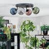 Chehalis Plafondlamp, Kogellampje Blauw, Groen, Koperkleurig, Rookkleurig, 4-lichts Chehalis Plafondlamp, Kogellampje Blauw, Groen, Koperkleurig, Rookkleurig, 4-lichts
