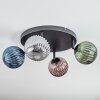 Chehalis Plafondlamp, Kogellampje Blauw, Groen, Koperkleurig, Rookkleurig, 4-lichts Chehalis Plafondlamp, Kogellampje Blauw, Groen, Koperkleurig, Rookkleurig, 4-lichts