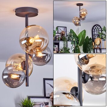 Chehalis Plafondlamp, Kogellampje 33 cm Amber, Rookkleurig, 4-lichts